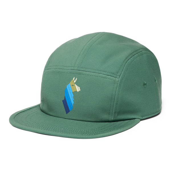 Llama Stripes 5 - Panel Hat