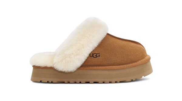 Ugg w Disquette