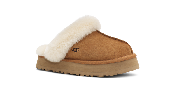 Ugg w Disquette