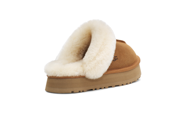 Ugg w Disquette