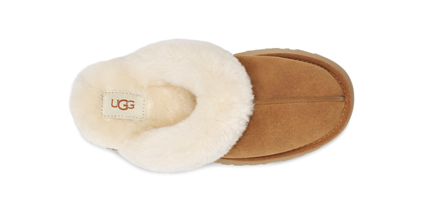 Ugg w Disquette