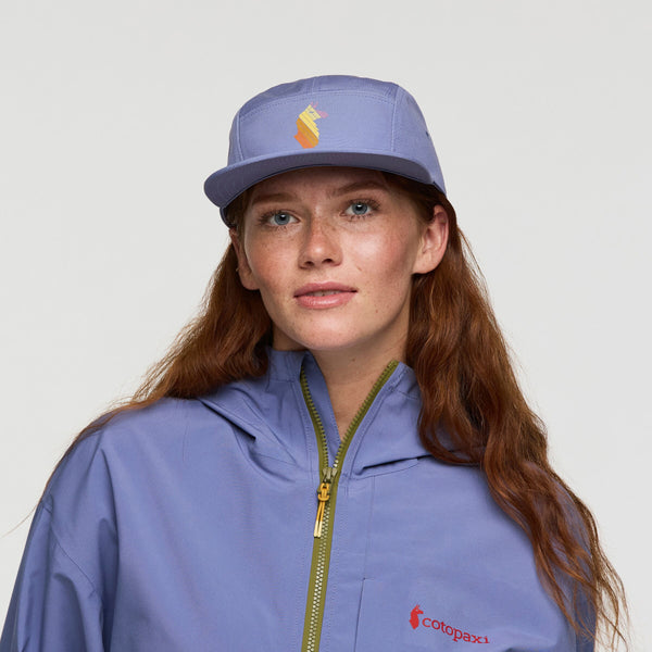 Llama Stripes 5 - Panel Hat