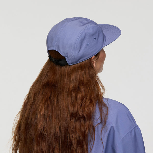 Llama Stripes 5 - Panel Hat